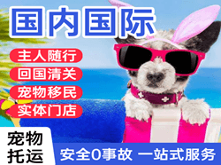 揭阳机场邮寄国际宠物托运 【国